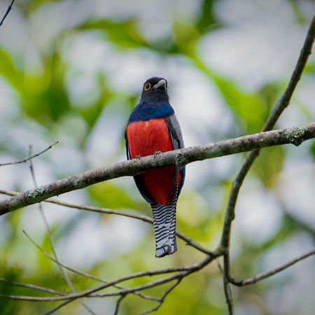 Shimiyacu Amazon Lodge Tarapoto Exteriér fotografie
