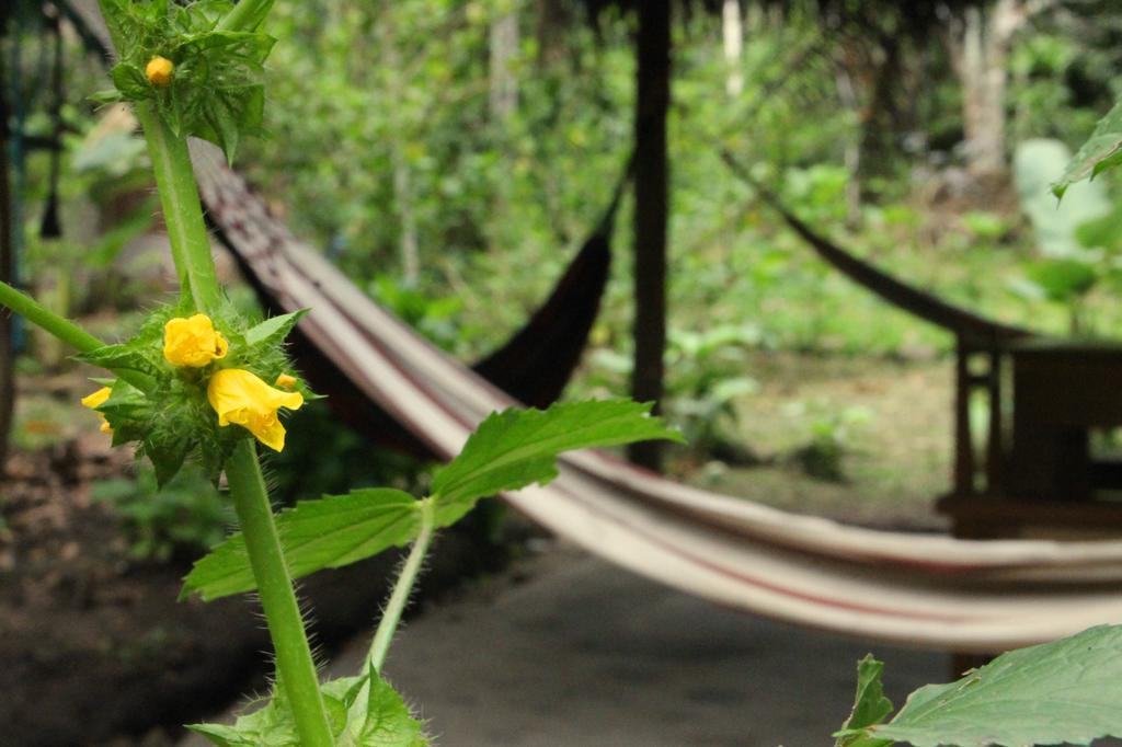 Shimiyacu Amazon Lodge Tarapoto Exteriér fotografie