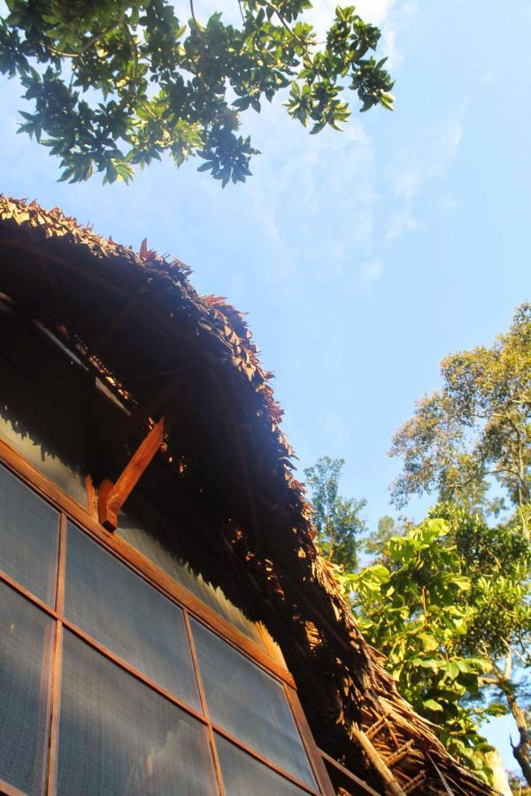 Shimiyacu Amazon Lodge Tarapoto Exteriér fotografie