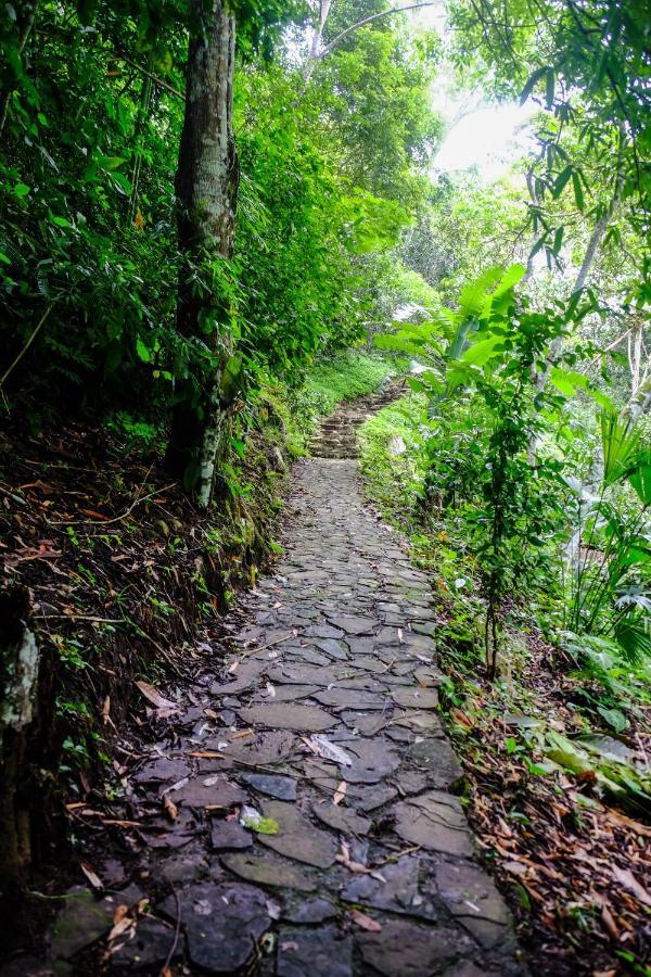 Shimiyacu Amazon Lodge Tarapoto Exteriér fotografie
