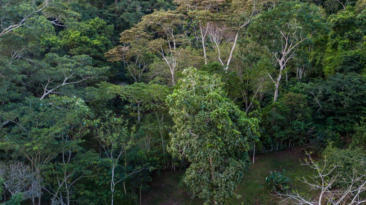 Shimiyacu Amazon Lodge Tarapoto Exteriér fotografie