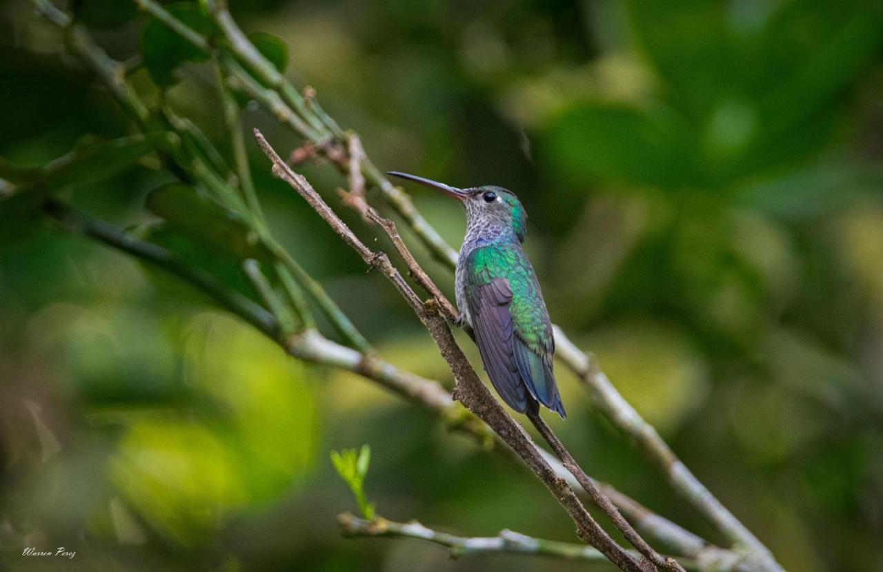 Shimiyacu Amazon Lodge Tarapoto Exteriér fotografie
