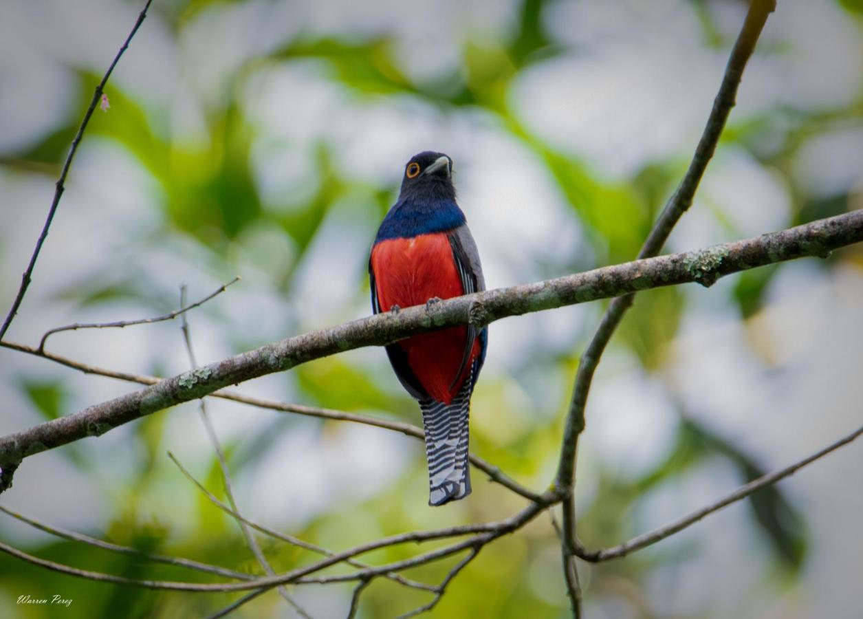 Shimiyacu Amazon Lodge Tarapoto Exteriér fotografie